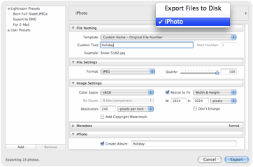 Export window screenshot
