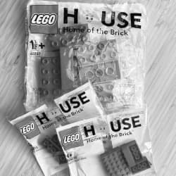 Plastic bags with LEGO and DUPLO bricks